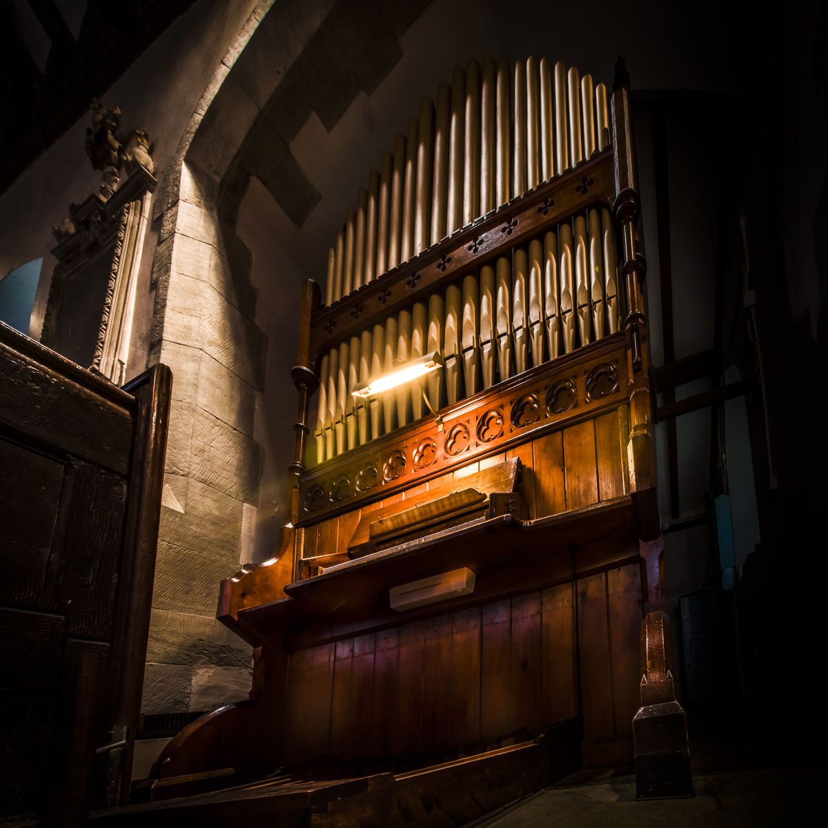 The Organ